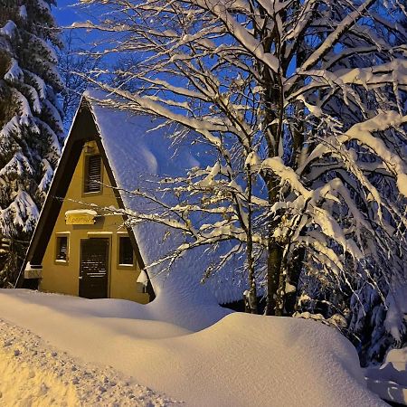 Holiday Home Kragovic Kopaonik Exteriér fotografie