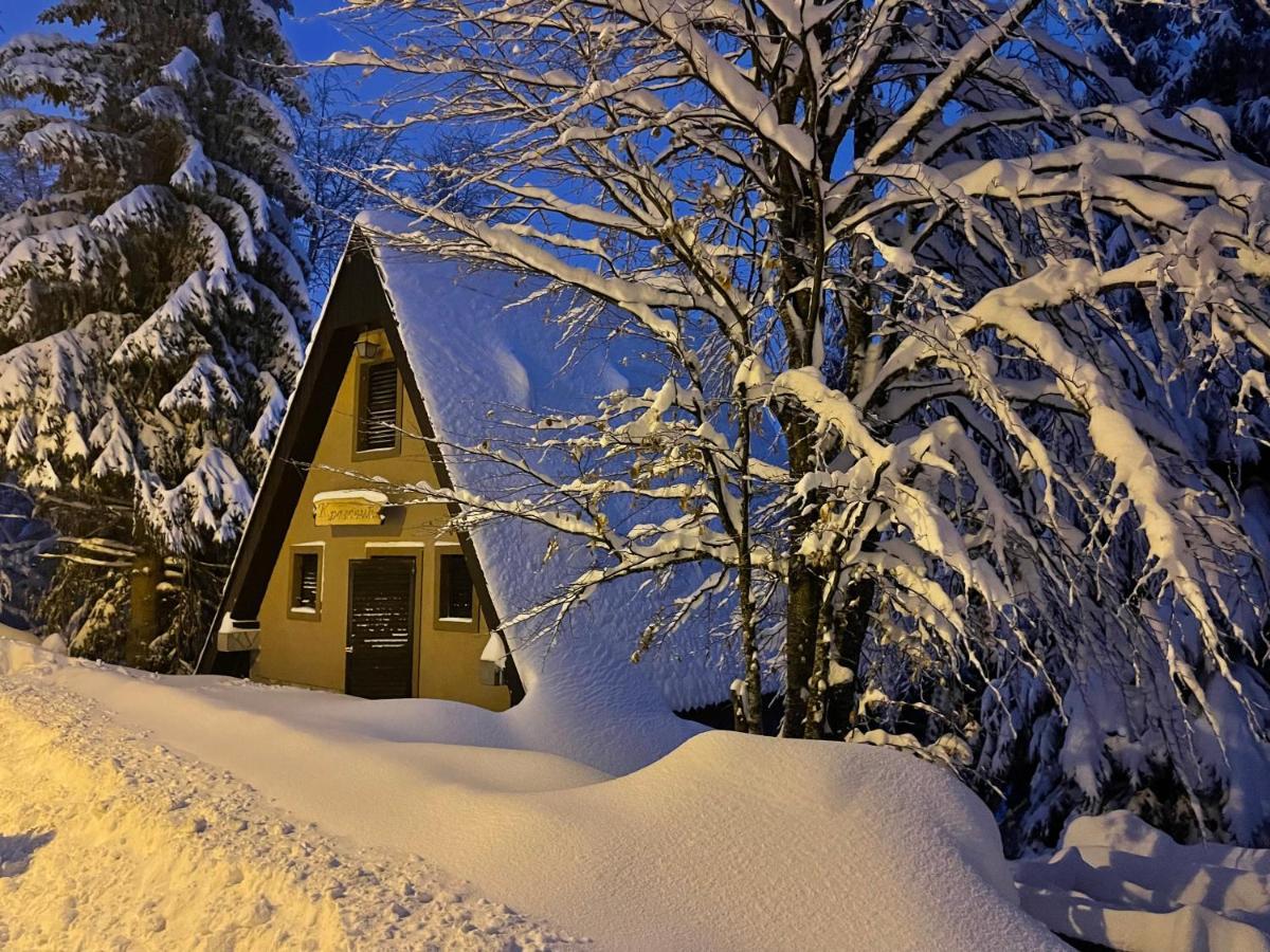 Holiday Home Kragovic Kopaonik Exteriér fotografie