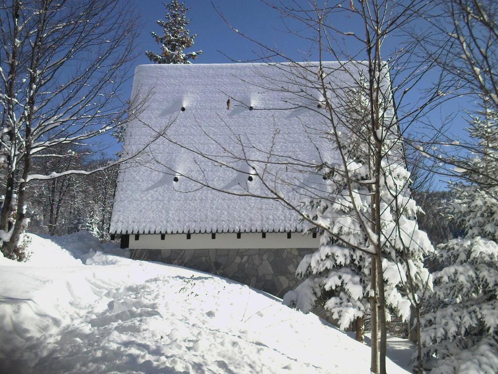 Holiday Home Kragovic Kopaonik Exteriér fotografie